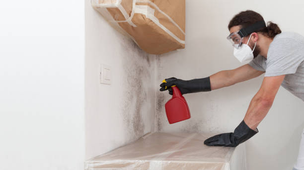 Professional Bathroom Mold Removal technician working in Alexandria, VA