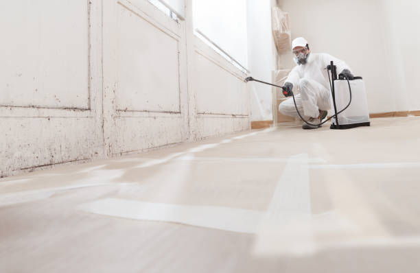 24/7 Emergency Bathroom Mold Removal experts in Alexandria, VA